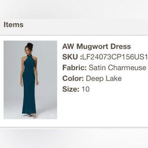 AW Bridal Satin Dress - Deep Lake Color